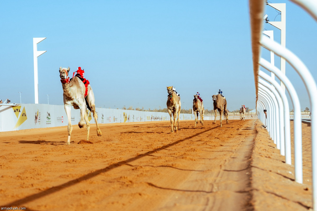 حضور وترقب